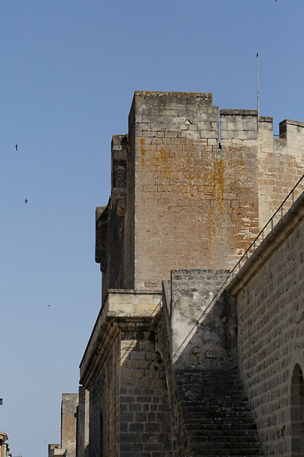 Aigues Mortes-024
